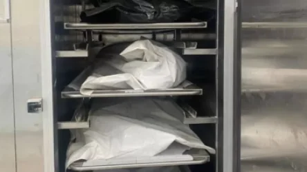 Ոսկորներ ենք պահում, առանձին ծնոտ, առանձին նախադաստակային ոսկոր․ քանի՞ դի կա Արմավիրի մարզային բաժնում