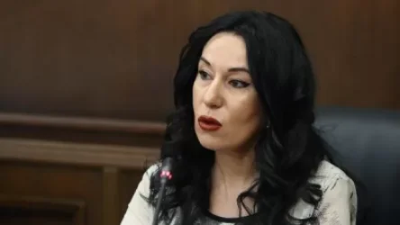 ՏՄՊՊՀ-ն պարզաբանում է ներկայացրել Նաիրա Զոհրաբյանի գրառման վերաբերյալ
