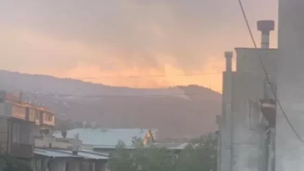 ՏԵՍԱՆՅՈՒԹ. Թբիլիսիում անտառներ են այրվում