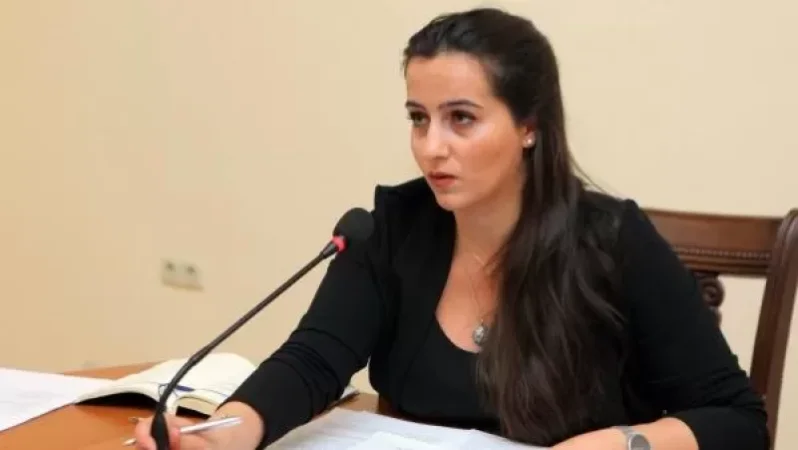 VIDEO: Explanation is needed regarding the disgraceful statement on the loss of samples from the genocide museum's funds