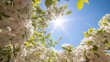 Ի՞նչ եղանակ է սպասվում առաջիկա օրերին