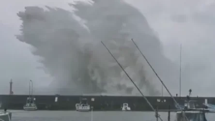 ՏԵՍԱՆՅՈՒԹ․ «Նանմադոլ» թայֆունը Ճապոնիայի ափերին է