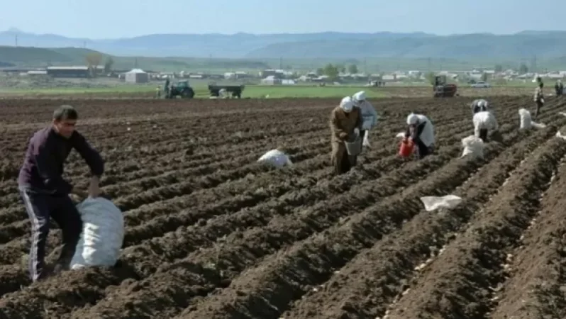 2020թ-ին` 1.4 տոկոս աճ  գյուղատնտեսության ոլորտում