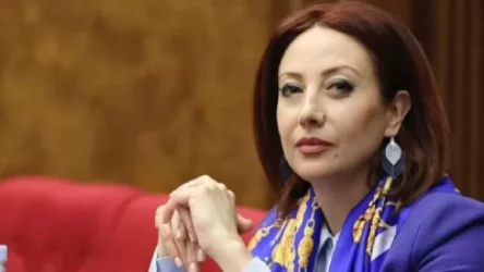 Զարմանում ենք՝ ինչու ենք պարտվել. չկա պետական համակարգ, որևէ կառույց իր տեղում չէ. Գայանե Աբրահամյան