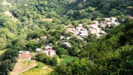 Սյունիքի մարզում հողամասերը վարձակալության ապօրինի գործընթացների քրեական գործերով վերականգնվել է 40.8մլն դրամի վնաս