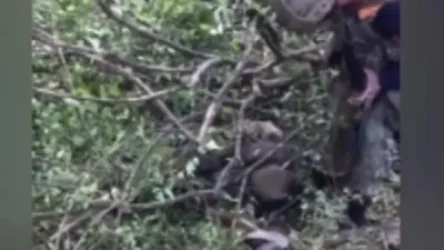 ՏԵՍԱՆՅՈՒԹ. Հակառակորդը, թողնելով դիակները, դիմել է փախուստի