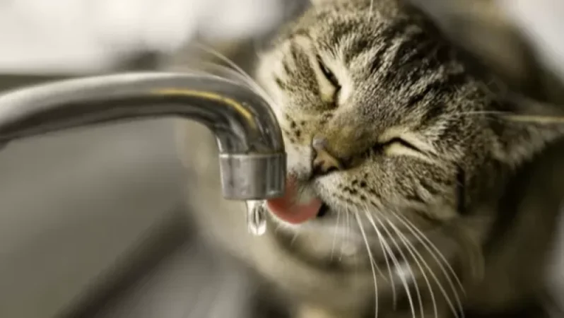 Այսօր երկար ժամանակով ջրանջատումներ կլինեն նշված հասցեներում