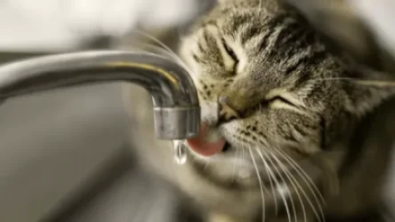 Այսօր երկար ժամանակով ջրանջատումներ կլինեն նշված հասցեներում