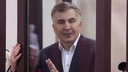 Սահակաշվիլիի մայրը` ապագայում որդու` քաղաքական գործունեությամբ զբաղվելու մասին