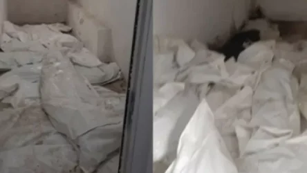 Ո՞ր մայրն իր զավակին կնվիրի հայրենիքին, եթե որդու ոսկորներից «տոպրակ» են սարքում ու հատակին գցում. Միքայել Մինասյան