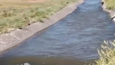 Արմավիր-Նորապատ ավտոճանապարհի աջակողմյան հատվածում քաղաքացին ընկել է սելավատարի մեջ