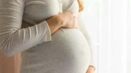 Ողբերգական դեպք Երևանում. 8 ամսական հղի կնոջ հարազատներն ասում են՝ «Եկանք ընգանք էս ղասաբների ձեռքը, երեխու գլուխը կերան». Shamshyan. com