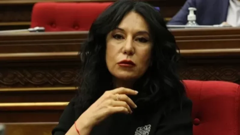 While Efforts Are Made to Ensure the New Parliament's 'Slang' Does Not Differ Much from the Polite Vocabulary of a Finishing School, the EC Condemns Azerbaijan - Naira Zohrabyan