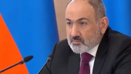 ՏԵՍԱՆՅՈՒԹ. «Մենք խաղաղապահներին չենք քննադատում, մեր մտահոգույթուններն ենք հայտնում, որոնք վաղուցվա ծագում ունեն». Փաշինյան