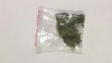 ՏԵՍԱՆՅՈՒԹ. Ապօրինի թմրաշրջանառության դեպք է բացահայտվել