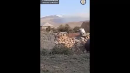 ՏԵՍԱՆՅՈՒԹ. «Ադրբեջացիների հրկիզած հրդեհները սպառնում են արդեն գյուղերին». ՄԻՊ