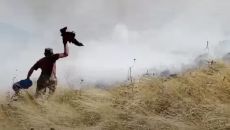 Մենք էլ մարդ ենք, հերիք եղավ. կութեցին պետական մարմիններին մեղադրում է անգործության մեջ . Sputnik Արմենիա