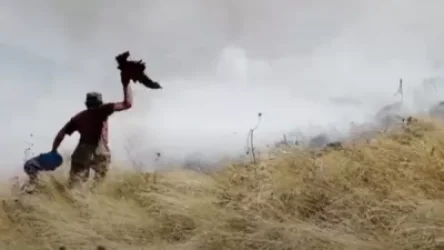 Մենք էլ մարդ ենք, հերիք եղավ. կութեցին պետական մարմիններին մեղադրում է անգործության մեջ . Sputnik Արմենիա