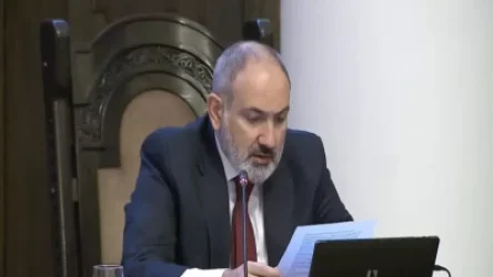 ՏԵՍԱՆՅՈՒԹ․ Լաչինի միջանցքի  շրջափակումը ԼՂ-ում հանգեցրել է իրական բնապահպանական խնդիրների. Փաշինյան