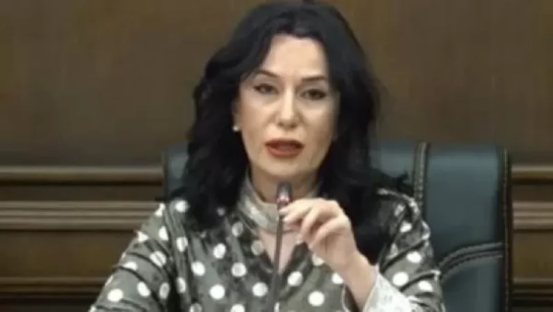 Sisak Gabrielyan Joined a Political Team Guided by Chaos and Gang Principles: Zohrabyan