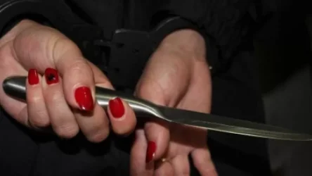 60–ամյա կինը դանակահարել է 19-ամյա երիտասարդի. կինը ձերբակալվել է