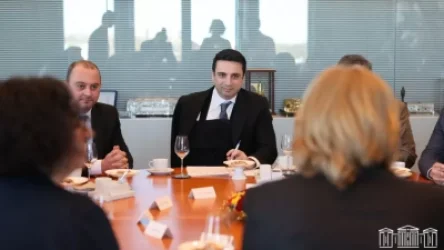 «Մեզ համար այլեւս անվտանգ չէ». Ալեն Սիմոնյանը հանդիպում-քննարկում է ունեցել գերմանացի պաշտոնյաների հետ