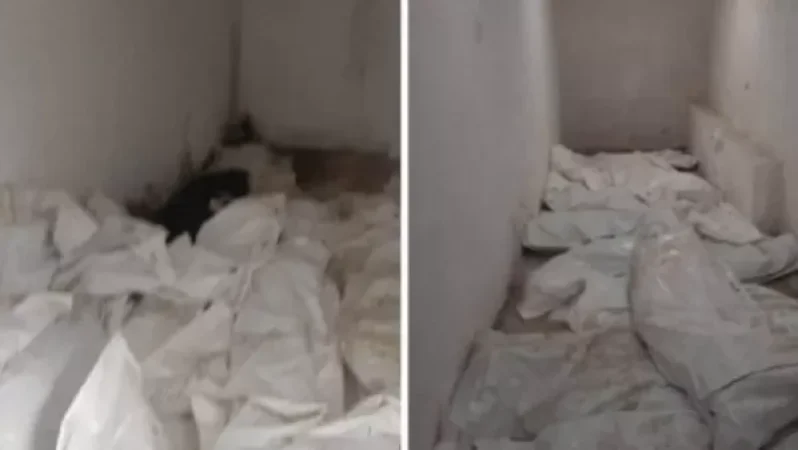 Նահատակված զինծառայողների դիերն ու մասունքները պոլիէթիլենային պարկերով նկուղի հատակին նետելու համար ոչ ոք չի պատժվի