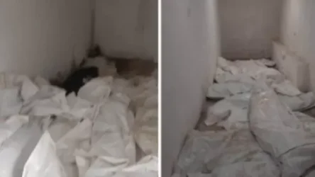 Նահատակված զինծառայողների դիերն ու մասունքները պոլիէթիլենային պարկերով նկուղի հատակին նետելու համար ոչ ոք չի պատժվի