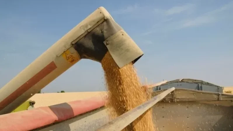 ՄԱԿ-ը հնարավորություն չունի հաստատել Ռուսաստանի կողմից ուկրաինական հացահատիկի գողությունը. Դյուժարիկ