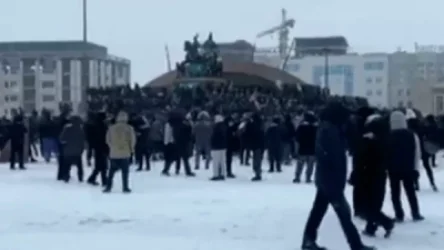 ՏԵՍԱՆՅՈՒԹ. ինչպես են զենք բաժանում արմատականներին