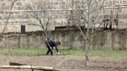 «Տեղական արտադրության վրա ուշադրություն չի դարձվում». նախկին փոխնախարար