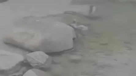 ՏԵՍԱՆՅՈՒԹ․ Ահազանգ․ ԶՊՄԿ-ի բաց հանքի ծանր մետաղներով հագեցած ջուրը լցվում է Ողջի գետը