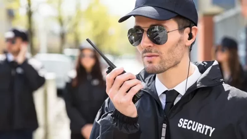 Պաշտոնական այցով ՀՀ եկած անձանց ուղեկցելու համար օտարերկրյա անվտանգության մարմինները կարող են զենք ներկրել