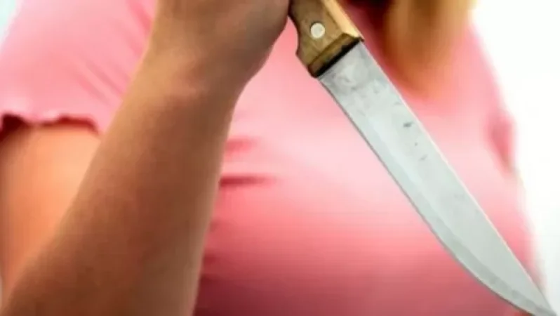 Երևանի թիվ 166 դպրոցի բակում 16 և 17 տարեկան աղջիկները դանակով սպառնացել են սպանել 71-ամյա կնոջը