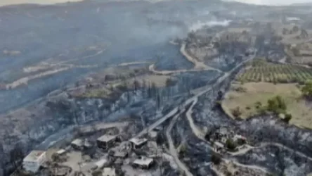 Թուրքիայում անտառային հրդեհ է բռնկվել. ճոպանուղու աշխատանքը դադարեցվել է