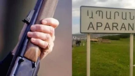 Հայտնի է` ով է Նիգավանում հնչած կրակոցների գործով ձերբակալվածը. News.am