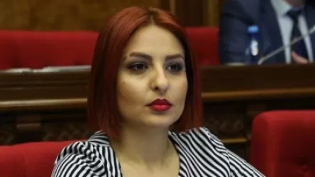 Սամսոնյանը  Թորոսյանից պարզաբանում է պահանջել Գյումրու թիվ 29 դպրոցի աշխատակիցների շրջանում ստեղծված իրավիճակի վերաբերյալ