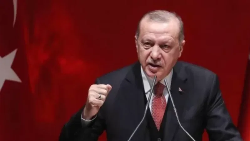 Էրդողանը խոսել է անտառը հրկիզելու համար սահմանված պատժի մասին