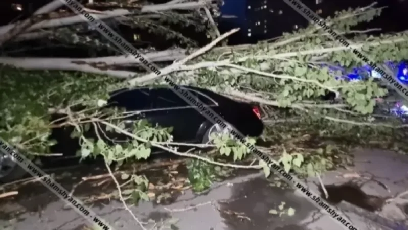 380 ահազանգ` երեկ քամու ուժգնացման ժամանակ. նախարարը՝ պատճառված վնասների մասին