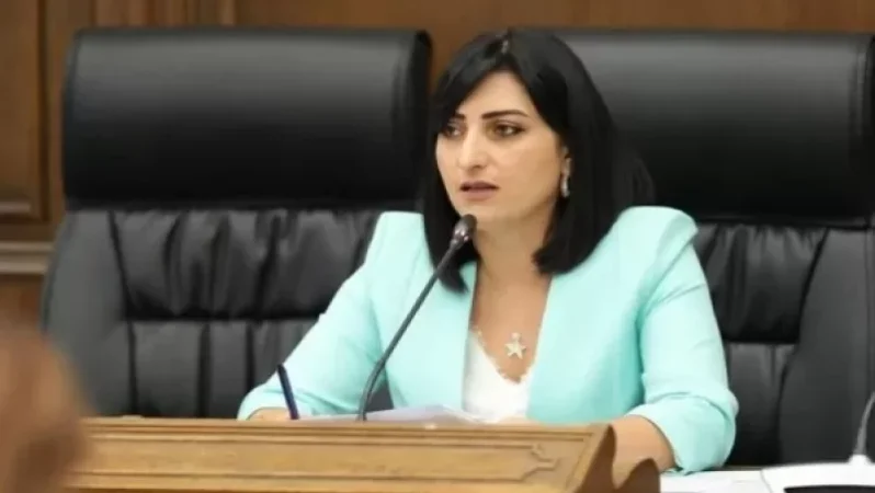 «Ռեկտորը ընդդիմադիր հայացքներ ունեցող դասախոսների պայմանագրերը չի երկարաձգել». Թովմասյան