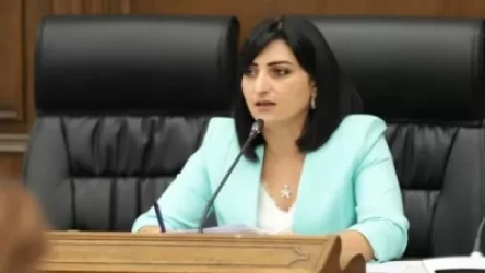 «Ռեկտորը ընդդիմադիր հայացքներ ունեցող դասախոսների պայմանագրերը չի երկարաձգել». Թովմասյան