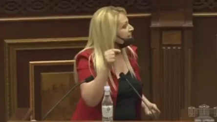 ՏԵՍԱՆՅՈՒԹ. Դուք պրոֆեսիոնալ՝ սուտասան ասեմ, ինչ ասեմ, ՔՊ-ական եք. քաղաքացին՝ «Իմ քայլի» պատգամավորներին