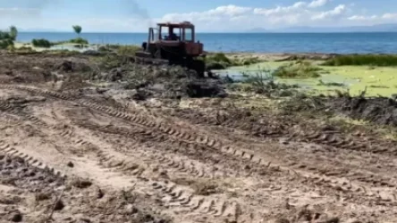 Նախատեսվում է մաքրել շուրջ 270 հեկտար ափամերձ անտառաշերտ. գործի է դրվել հատուկ տեխնիկա