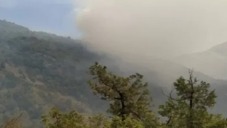 Իջևանում բռնկված հրդեհը մարվել է