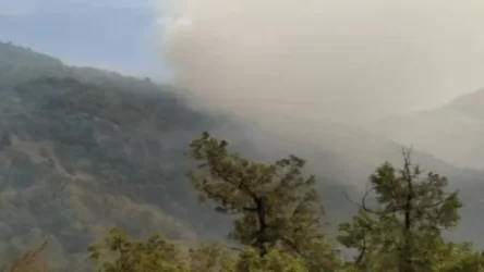 Իջևանում բռնկված հրդեհը մարվել է