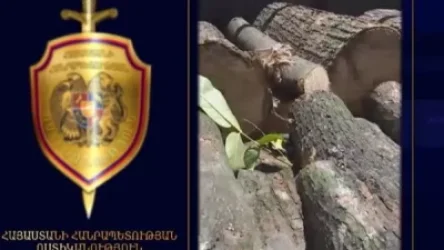 ՏԵՍԱՆՅՈՒԹ. Գուգարքի ոստիկաններն ապօրինի ծառահատման դեպքեր են բացահայտել