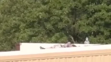 ՏԵՍԱՆՅՈՒԹ. Թրամփի վրա հարձակման նոր ապշեցուցիչ կադրերը. ինչպես է տղամարդը պատրաստվում կրակելուն