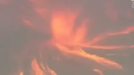 ՏԵՍԱՆՅՈՒԹ. Կալիֆոռնիայի հարավում կրակե տոռնադո է նկատվել