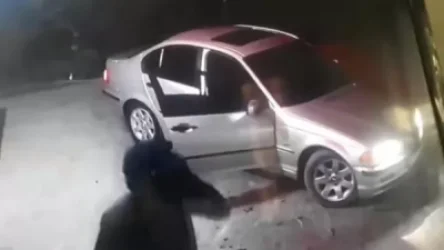 ՏԵՍԱՆՅՈՒԹ. Տերմինալներից գողություն կատարած անձինք հայտնաբերվել են