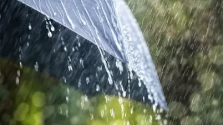 Սպասվում է անձրև և ամպրոպ. առաջիկա օրերի եղանակը` Հայաստանում